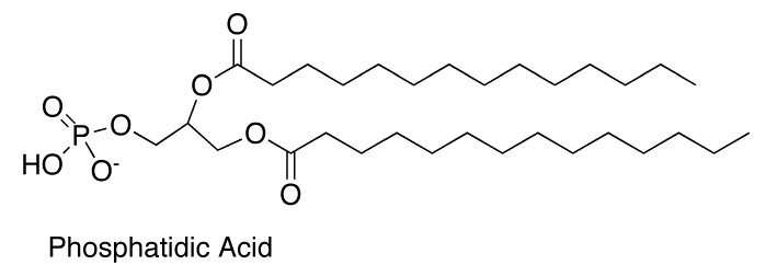 Function and Analysis of Phosphatidic Acid