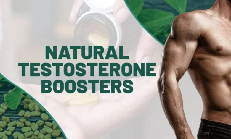 Best Ayurvedic Herbs to Boost Testosterone levels in Men