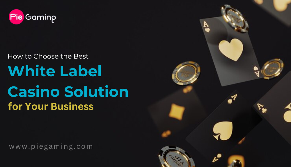 How to Choose the Best White Label Casino Solution for Your Business